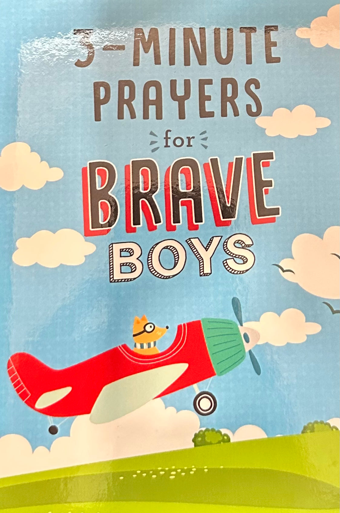 #minute devotions for brave boys