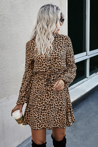 Long Sleeve Leopard Print Dress